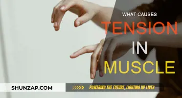 Muscle Tension: Causes and Triggers
