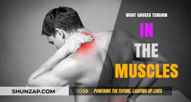 Understanding Muscle Tension: Causes and Contributing Factors Explained