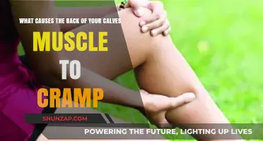 Why Your Calf Muscles Cramp: Causes and Prevention Tips