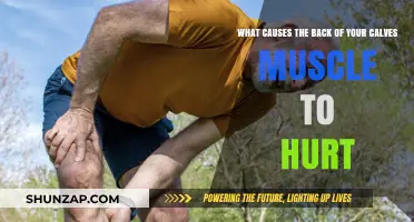Why Your Calf Muscles Ache: Uncovering the Causes of Back Calf Pain