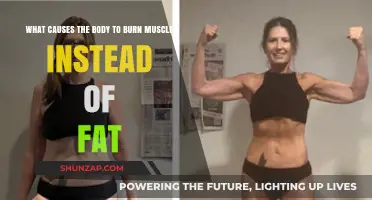 Why Your Body Burns Muscle Instead of Fat: Key Factors Explained