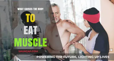 Why Your Body Eats Muscle: Causes and Prevention Strategies