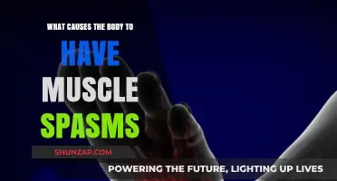 Understanding Muscle Spasms: Causes and Triggers in the Body