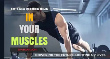 Unraveling the Mystery: Why Muscles Burn During Intense Workouts