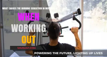 Why Muscles Burn During Exercise: Unraveling the Science Behind the Sensation