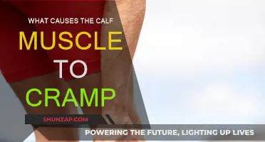 Understanding Calf Muscle Cramps: Causes and Prevention