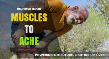 Why Your Calf Muscles Ache: Common Causes and Solutions