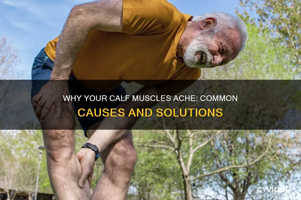 what causes the calf muscles to ache