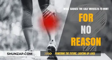Unexplained Calf Pain: Causes and Remedies for Sudden Muscle Discomfort