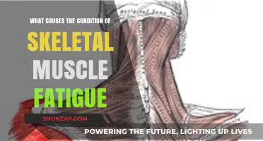 Understanding Skeletal Muscle Fatigue: Causes and Contributing Factors Explained