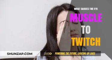 Eye Twitching Explained: Causes of Involuntary Eye Muscle Spasms