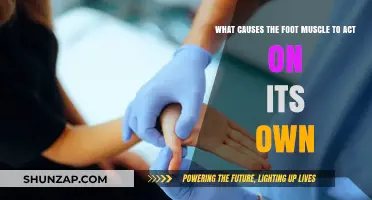 Uncontrolled Foot Twitching: Exploring Causes of Involuntary Muscle Movements