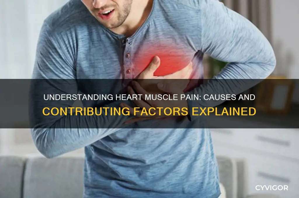 what causes the heart muscle to hurt