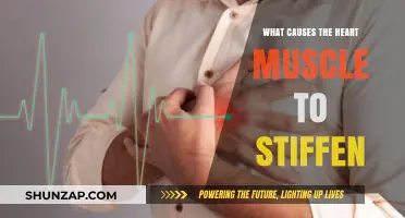 Understanding Cardiac Stiffening: Causes of Heart Muscle Rigidity Explained