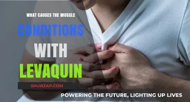 Levaquin and Muscle Conditions: Understanding the Causes and Risks