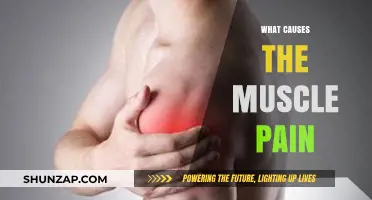 Understanding Muscle Pain: Common Causes and Effective Relief Strategies