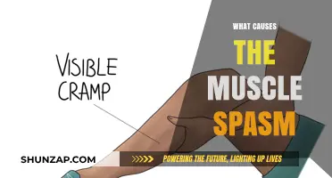 Understanding Muscle Spasms: Causes, Triggers, and Prevention Strategies