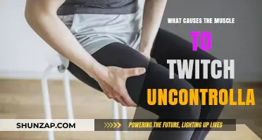 Uncontrollable Muscle Twitching: Causes and Underlying Triggers Explained