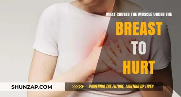 Why Does the Muscle Under Your Breast Hurt? Causes Explained