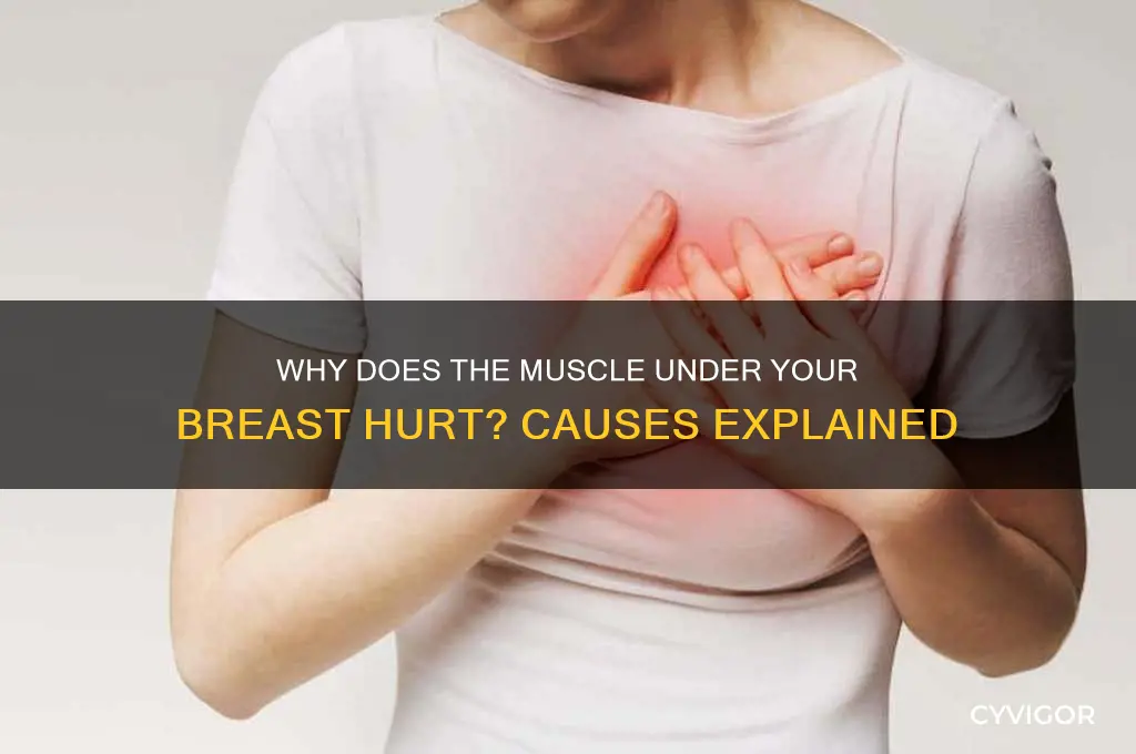 what causes the muscle under the breast to hurt