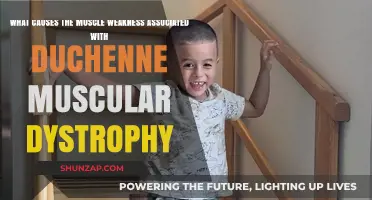 Duchenne Muscular Dystrophy: Unraveling the Causes of Muscle Weakness