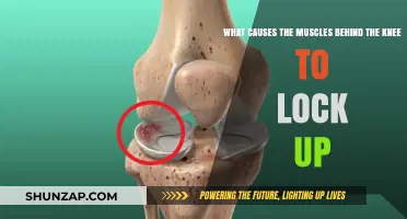 Understanding Knee Locking: Causes of Tight Muscles Behind the Knee