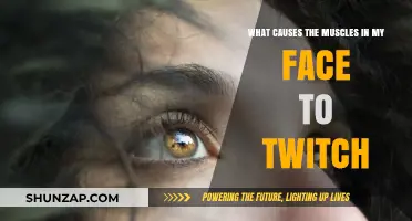 Why Do My Facial Muscles Twitch? Causes and Remedies Explained