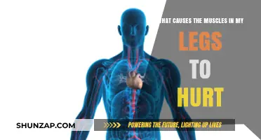 Why Do My Leg Muscles Hurt? Common Causes Explained