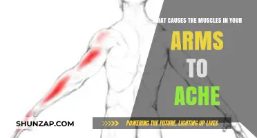 Why Your Arm Muscles Ache: Common Causes and Remedies Explained