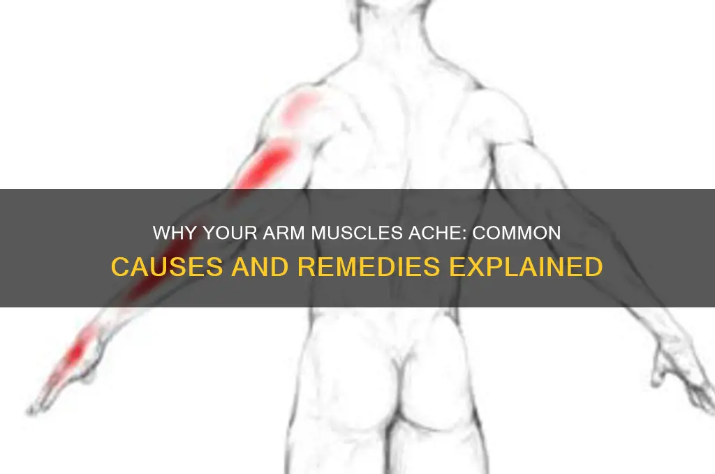 what causes the muscles in your arms to ache