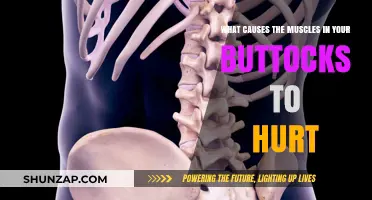 Why Your Buttocks Muscles Ache: Common Causes and Remedies