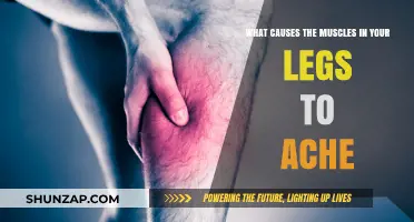 Why Your Leg Muscles Ache: Common Causes and Remedies Explained