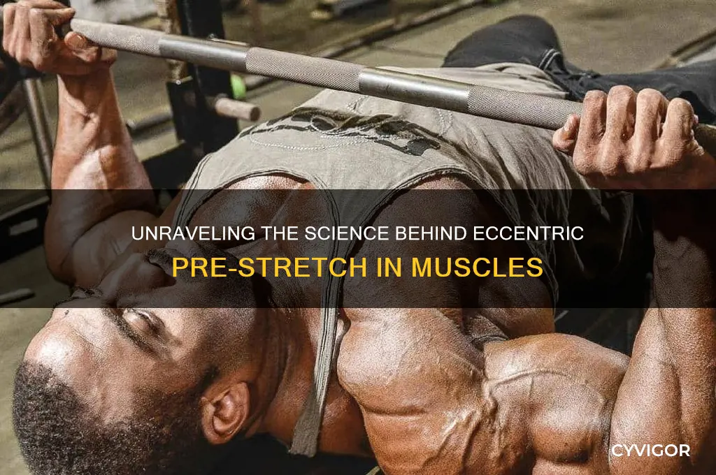 what causes the muscles to go into an eccentric pre-stretch