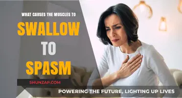 Understanding Muscle Spasms in the Swallowing Muscles: Causes and Triggers