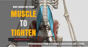 Understanding Psoas Tightness: Causes, Symptoms, and Effective Relief Strategies