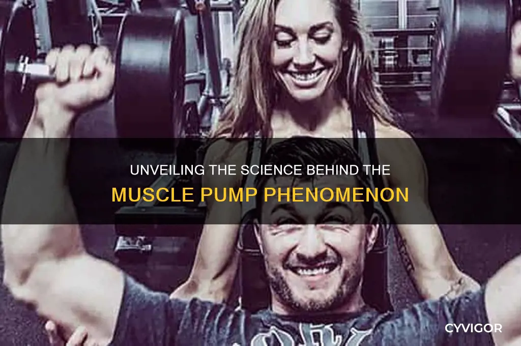 what causes the pump in muscles