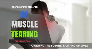 Understanding Muscle Tearing: Causes and the Science Behind the Pain