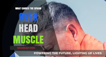 Head Muscle Spasms: Understanding Causes and Effective Relief Strategies