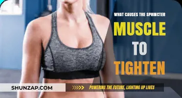 Understanding the Factors That Cause Sphincter Muscle Tightening