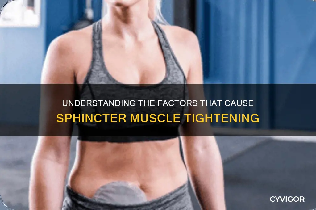 what causes the sphincter muscle to tighten