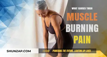 Thigh Muscle Burning Pain: Causes, Triggers, and Relief Strategies Explained