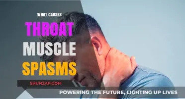 Understanding Throat Muscle Spasms: Causes, Triggers, and Relief Strategies