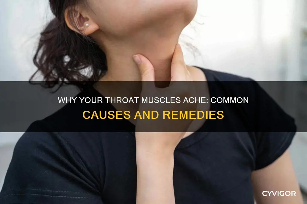 what causes throat muscles to hurt