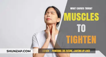Understanding the Causes of Throat Muscle Tightening: Triggers and Remedies