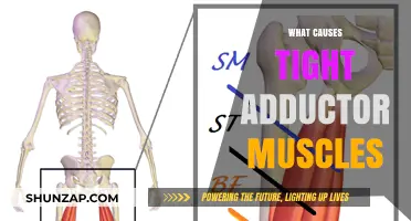 Understanding Tight Adductor Muscles: Causes and Contributing Factors Explained
