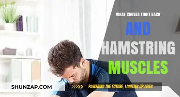 Unraveling the Root Causes of Tight Back and Hamstring Muscles