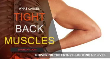 Tight Back Muscles: Causes and Prevention