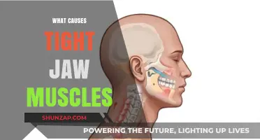 Unraveling the Mystery: What Causes Tight Jaw Muscles and How to Relieve Them