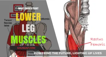 Unraveling the Mystery: What Causes Tight Lower Leg Muscles?