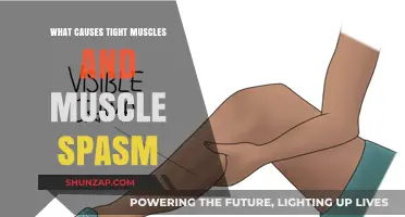 Understanding Tight Muscles and Spasms: Causes and Prevention Tips
